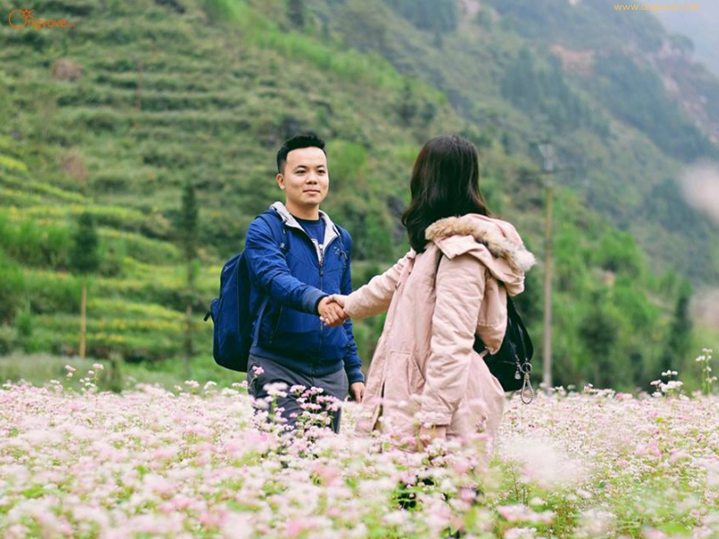 Tìm Hiểu Địa Điểm Xín Mần Trên Nền Tảng Ong Vò Vẽ