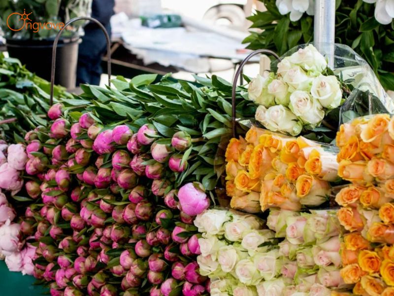 Chơi Gì Khu Vực Gần Chợ Hồ Thị Kỷ Quận 10 ?