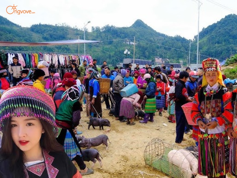 Làm Thế Nào Để Đến Chợ Phiên Lũng Cú Hà Giang
