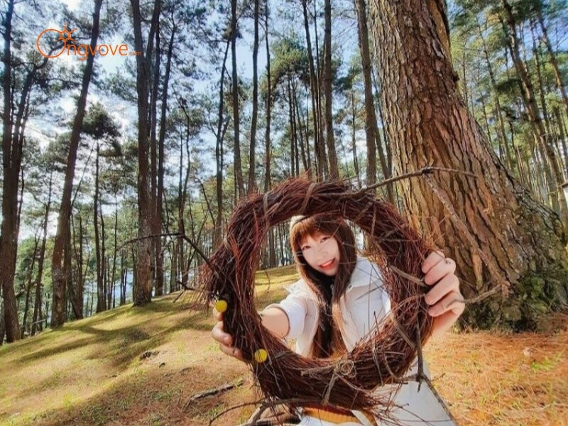 Kinh Tế Rừng Thông Yên Minh - “Tiềm Năng” Du Lịch Sinh Thái Và Phát Triển Bền Vững