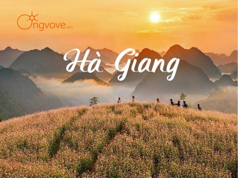 Những Kinh Nghiệm Khám Phá Hồ Noong Hà Giang - “Mẹo Nhỏ” Cho Chuyến Đi Hoàn Hảo