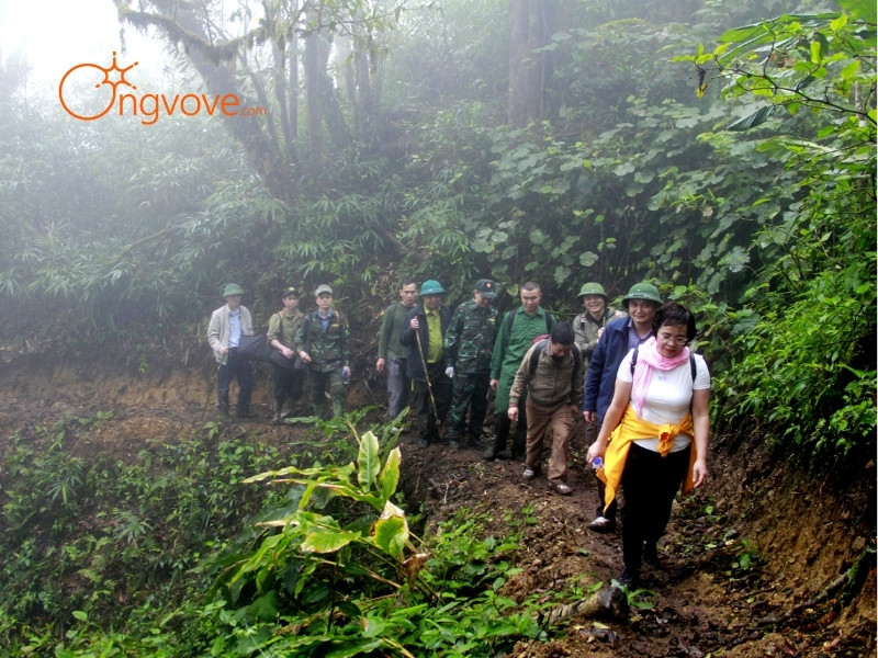 Phương Tiện Di Chuyển Đỉnh Tây Côn Lĩnh Hà Giang
