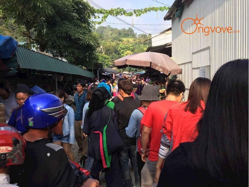 Các Địa Điểm Tham Quan Nổi Tiếng Gần Chợ Hoàng Su Phì Hà Giang