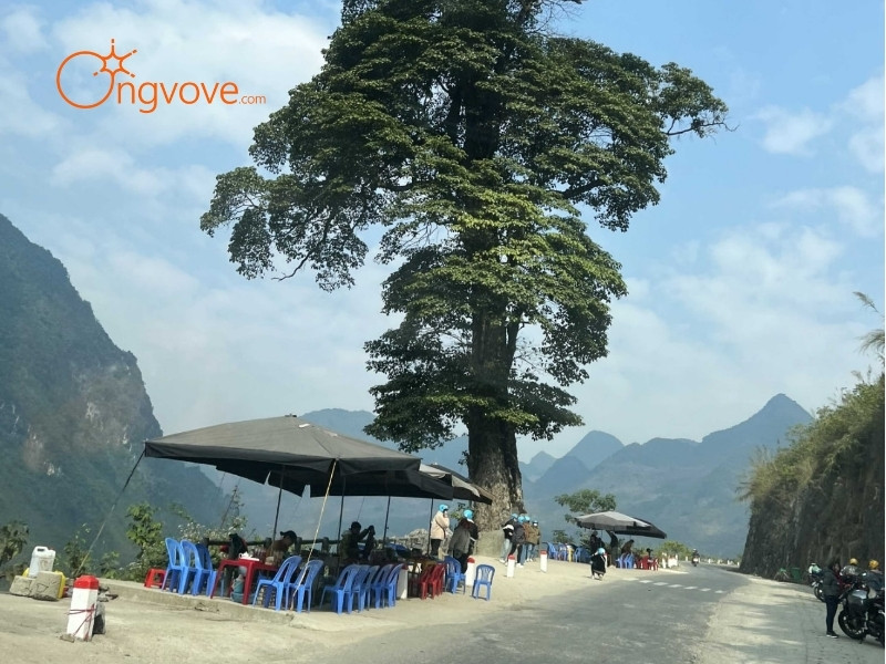Thời Tiết Cây Cô Đơn Hà Giang: Bốn Mùa Mang Bốn Vẻ Đẹp Riêng
