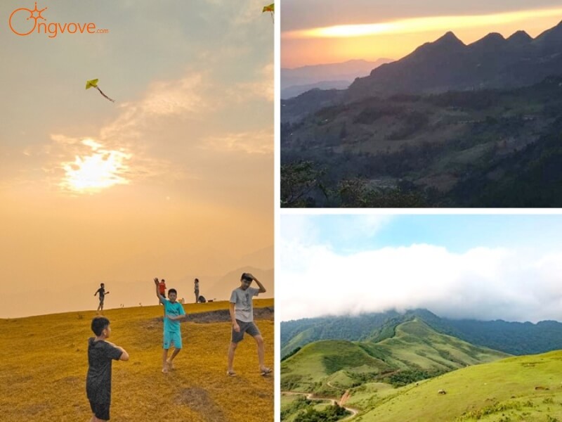 Sử dụng các dịch vụ du lịch Đồi cỏ Lủng Tráng tại nền tảng Ong Vò Vẽ Travel
