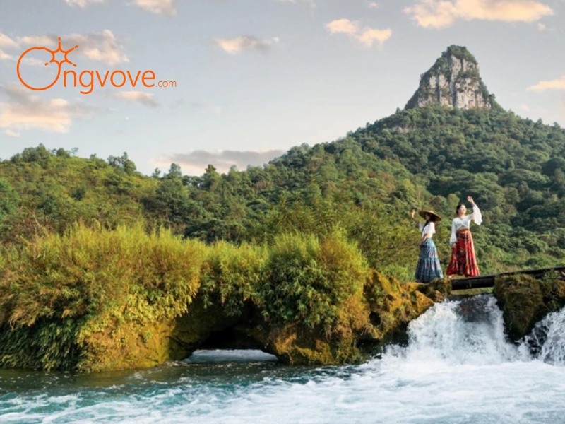 Vị trí địa lý và cách di chuyển