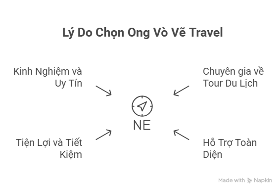 Tại Sao Nên Chọn Ong Vò Vẽ Travel Cho Mọi Chuyến Đi Của Bạn ?