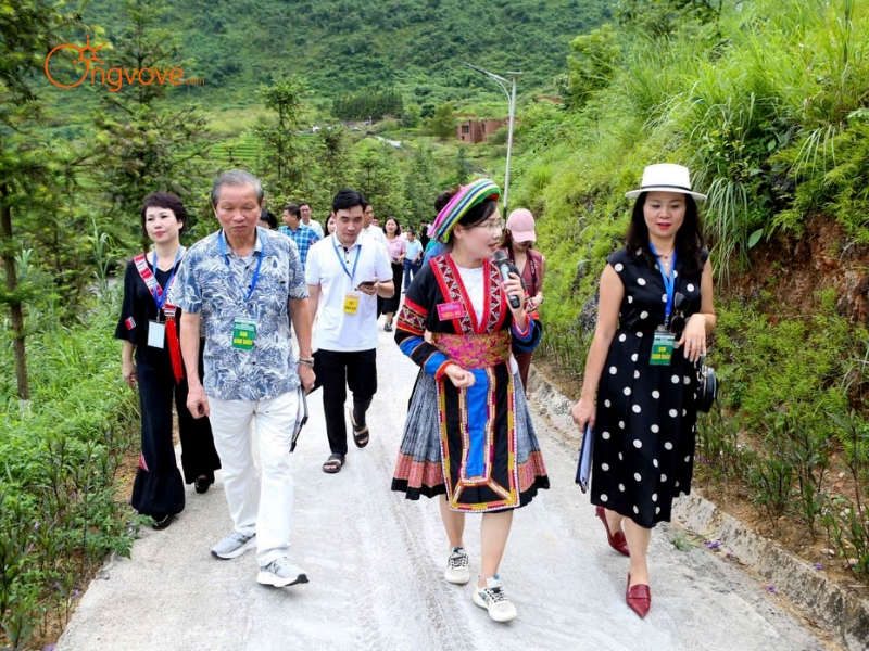 Chọn Lựa Tour Guide Lâm Đồng Phù Hợp Với Nhu Cầu Của Bạn