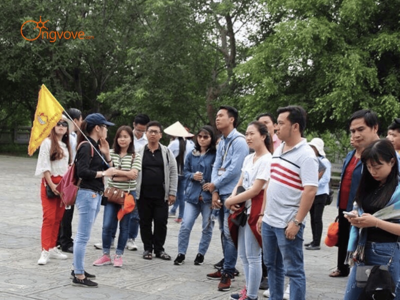 Chọn Lựa Tour Guide Tam Đảo Phù Hợp Với Nhu Cầu Của Bạn