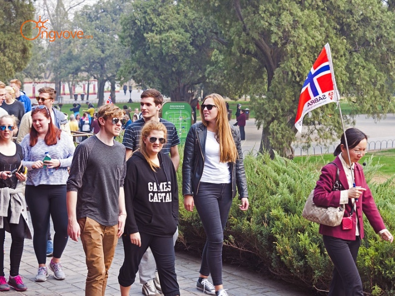 Tại Sao Bạn Cần Một Tour Guide Hạ Long?
