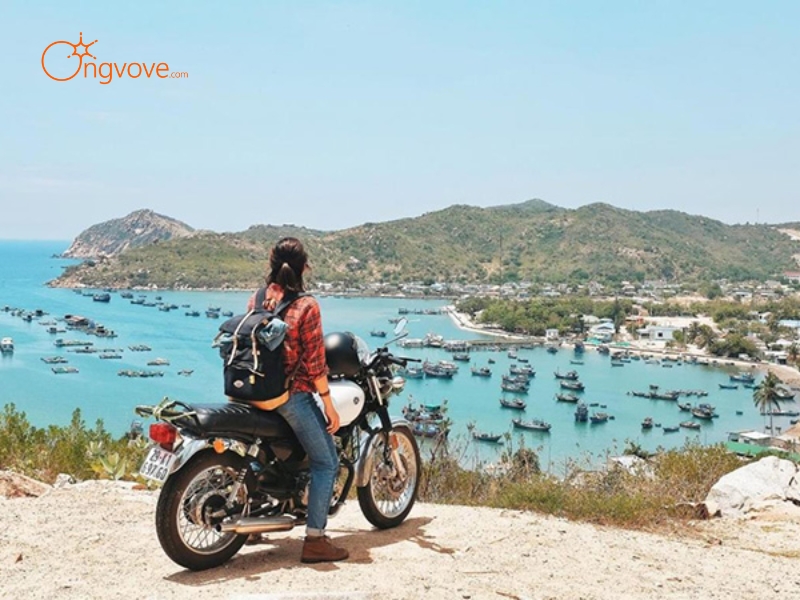 Kinh Nghiệm Du Lịch Tam Đảo Với Hướng Dẫn Viên