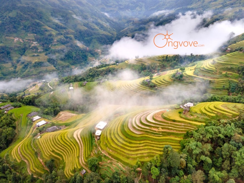 Khám Phá Ruộng Bậc Thang Hoàng Su Phì
