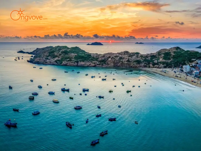 Các Điểm Đến Nổi Bật Khi Du Lịch Quy Nhơn Với Tour Guide