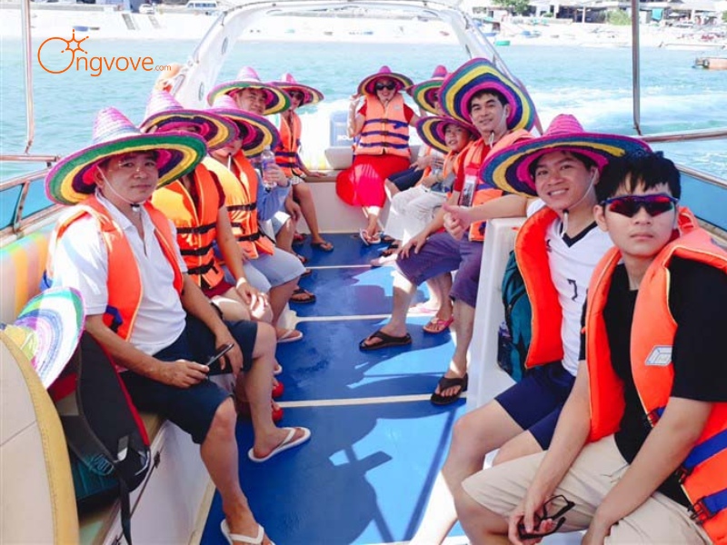 Các Loại Hình Tour Đa Dạng Tại Quy Nhơn