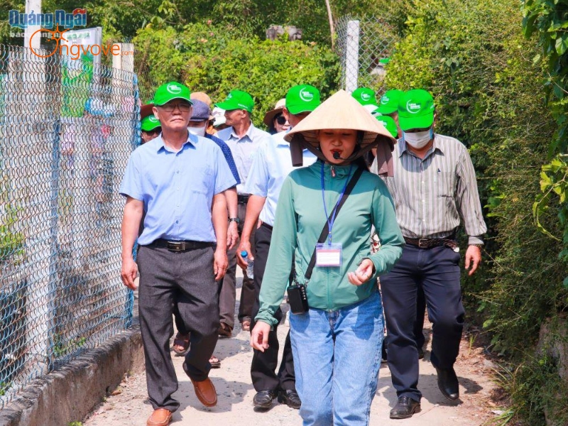 Chọn Lựa Tour Guide Quảng Ngãi Phù Hợp Với Nhu Cầu Của Bạn
