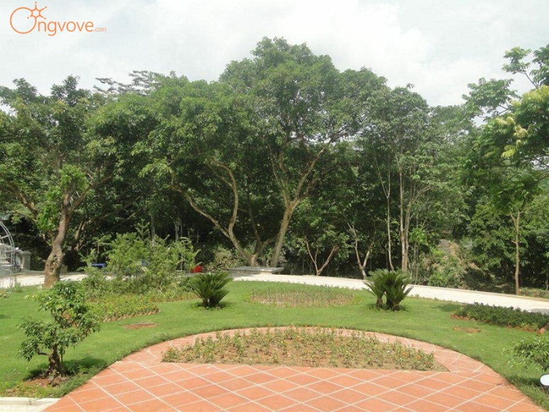 Khu du lịch sinh thái vườn cây ăn trái