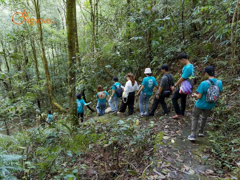 Các Loại Hình Tour Đa Dạng Tại Tây Ninh