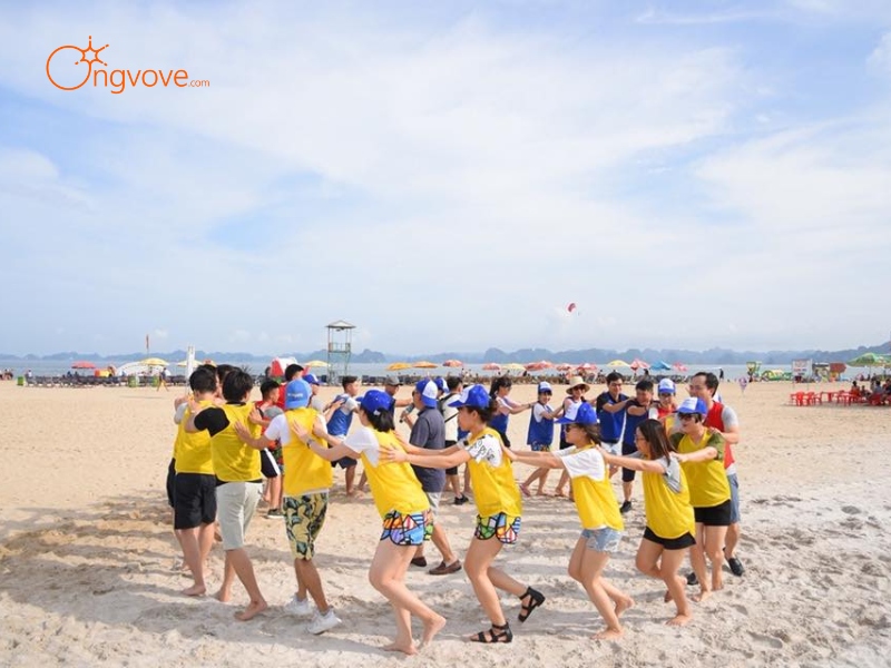 Chọn Lựa Tour Guide Cù Lao Xanh Phù Hợp Với Nhu Cầu Của Bạn