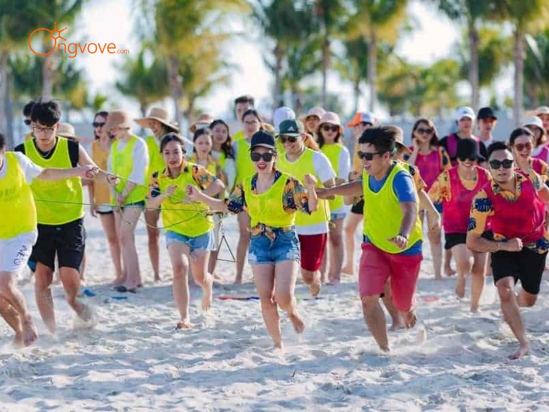 Tại Sao Bạn Cần Một Tour Guide Cù Lao Xanh?